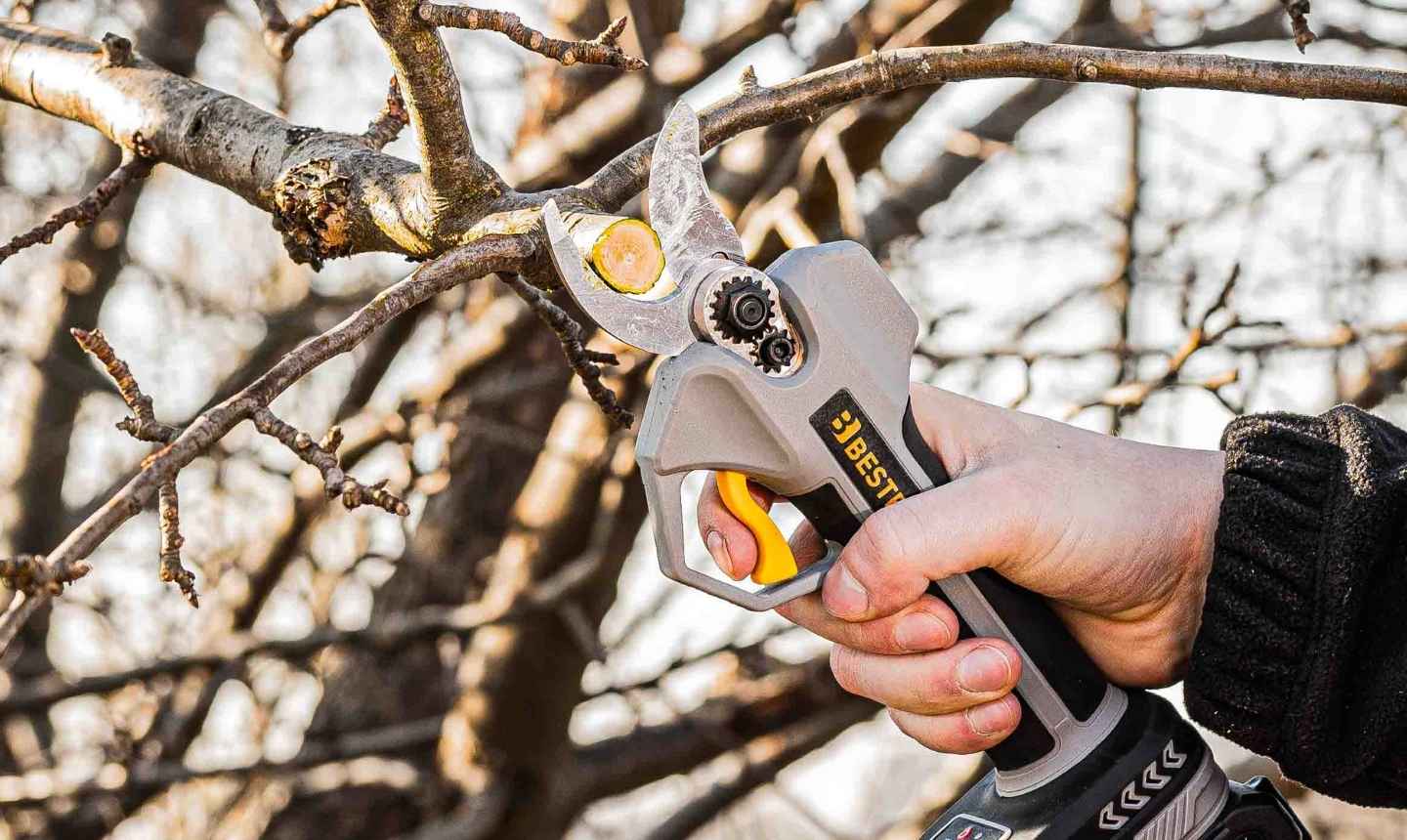 Sekator akumulatorowy 50 mm BESTEN do cięcia grubych gałęzi